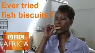 This is what fish biscuits taste like