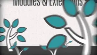 Trailer Magento Extension Partner (Englisch)