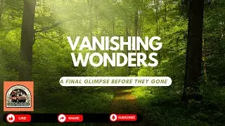 Vanishing Wonders - A Final Glimpse Before they gone!
