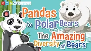 Pandas to Polar Bears: The Amazing Diversity of Bears