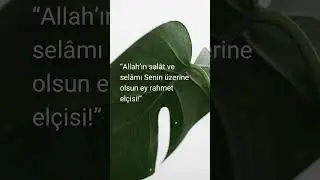 Selam sana Rahmet Peygamberi.. #salavat