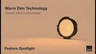 Feature Spotlight: Warm Dim Technology