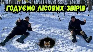ПОГОДУВАЛИ ЛИСИЦЬ, ПТАХІВ І РИБАМ ДАЛИ КИСНЮ)