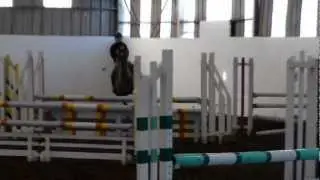 adriville tango 1m 1st round