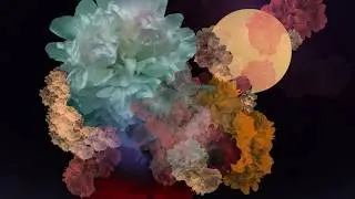 IHF - Bloom
