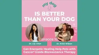 My Dog Is Better Than Your Dog Podcast: Can Energetic Healing Help Pets with Cancer?