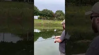 #adventure #carp #fishing #sportfishing #carpfishing #fishingandcamping #camping #outdooractivities