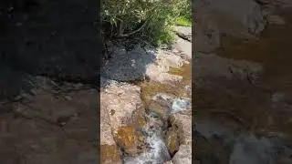 Above Upper Falls at Graveyard Fields