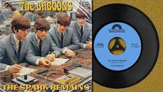 The Baboons: The Spark Remains