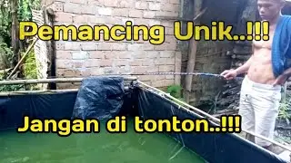 Mancing Di kolam lele.!!!! auto strek teruss!!!!