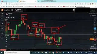 How to add a custom script iq option indicator in iq option 2022, iq option script.