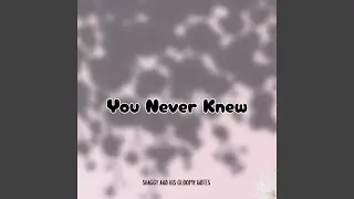 You Never Knew