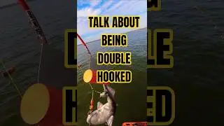 This fella got himself double hooked! #riverchronicles