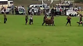 Tshikona tsha Mukula Ha-Takalani Mphathele Tshivhase