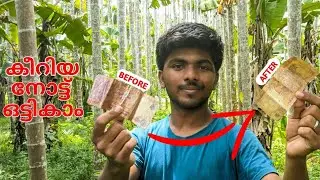 കീറിയ രൂപ എങ്ങനെ ഒട്ടിക്കാം  | How to glue a torn rupee | Diy | How to Repair Torn Rupees |