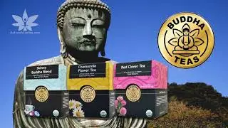 What Is Buddha Teas || CBD World Online