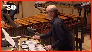 Nicole Liz&eacute;e: Zeiss After Dark / Andr&eacute; de Ridder &middot; Toronto Symphony Orchestra