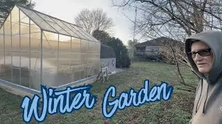 Gardening With Grampa Caveman: Winter Update 2026