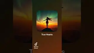 True Hearts 