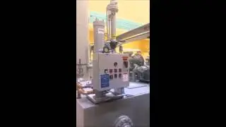 High Purity Northwest Kidney Loop Filtration System