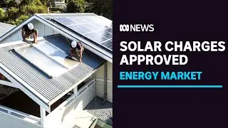 Electricity companies get green light to charge solar owners for exporting power to grid | ABC News
