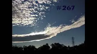 267