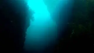 Spearfishing Port Hardy, D'Urville Island