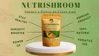 Oyster mushrooms powder 