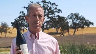 A Llama's Thoughts on Wine