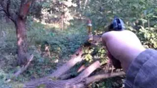 Макарыч cal.45