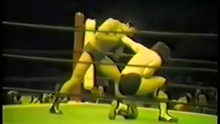 Bret Hart vs. Akira Maeda (handheld) 1-28-1982