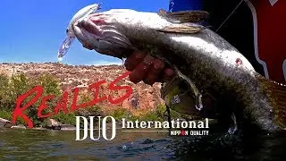 On-Location Bass Fishing Product Video - DUO Realis CRANK G87 15A & 20