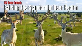 RS Deer Ranch: Leading the Way in EHD and CWD Resistance