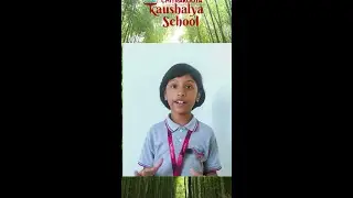 Let's celebrate World Bamboo Day