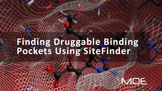Finding Druggable Binding Pockets Using SiteFinder