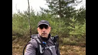 radonn&eacute;e de souesmes le bois sent bon