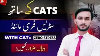 Cats reduce stress || viral cats video _ short motivational video