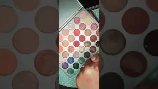Morphe JACLYN HILL PALETTE (JACLYN HILL)|Review|Buoyant & Sassy
