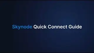 Auterion Skynode Quickstart