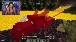 How to train a Dragon Poki Edition