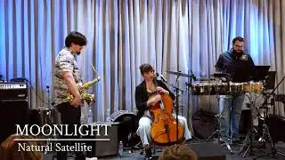 NATURAL SATELLITE I 