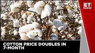 Cotton Prices Are Surging: What&rsquo;s The Outlook On Exports?
