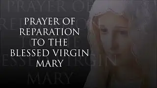 Prayer of Reparation to the Blessed Virgin Mary