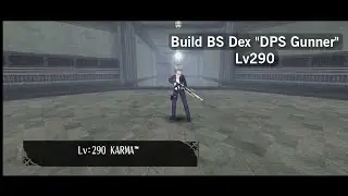 Build BS Dex - STR Lv 290 