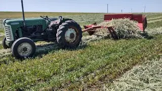 Making oat hay