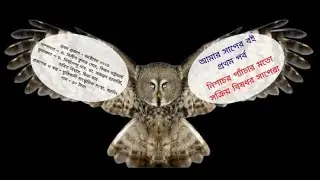 My Snake Book 1 - Venomous snakes are active at night like owls