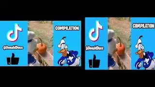 Old School Vs New School TikTok | Donaldducc - Widescreen Vs Fullscreen