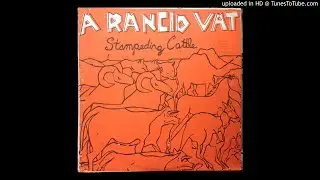 (A) RANCID VAT 'Stampeding Cattle' LP 1982 (FULL ALBUM/COMPLETE) USA No Wave Punk