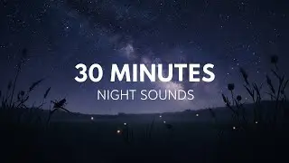 Night Sounds for Sleeping Work or Study | 30 Min Crickets, Owls & Forest Ambience