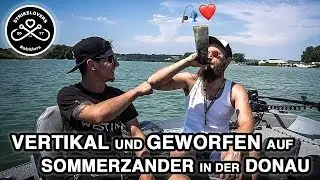 Vertikal und Geworfen 🎣❤️ auf Sommerzander in der Donau 🇦🇹speaking  🇬🇧subtitles #strklvrs